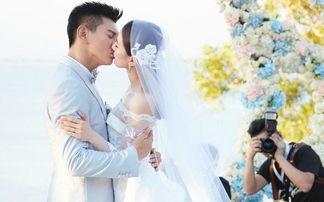 娱乐圈怎么随分子,分子效应下的明星崛起